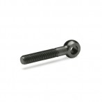 GN1524-Swing-bolts-with-long-threaded-bolt.jpg