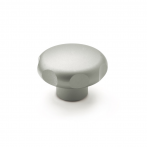 GN5335-Star_Knob__Stainless_Steel_Matt_Blasted.png