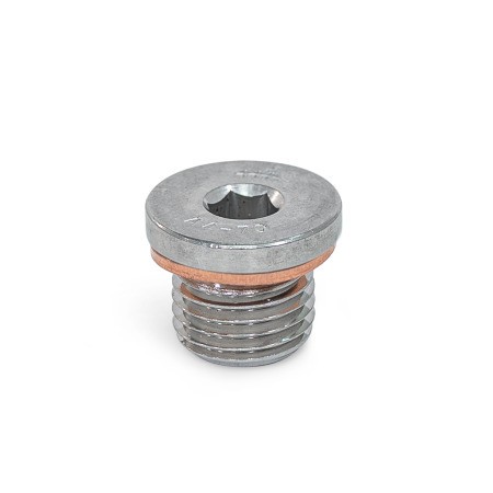 DIN908-Threaded-plugs-Stainless-steel-With-sealing-ring-in-copper.jpg