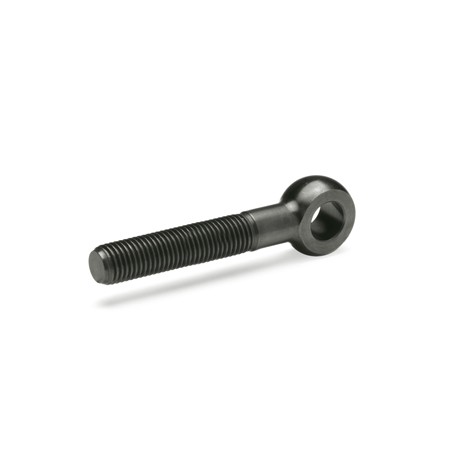 GN1524-Swing-bolts-with-long-threaded-bolt.jpg