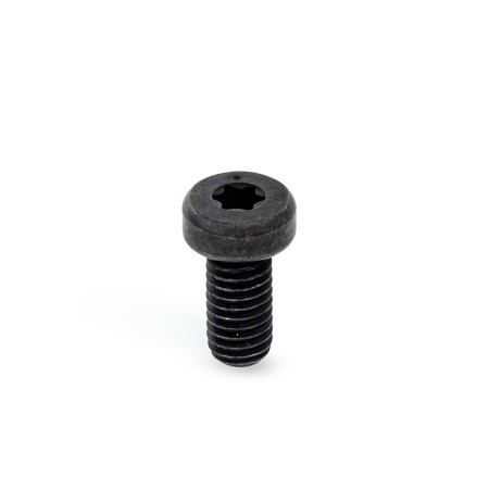 GN418.3-Eccentric-Clamping-Screws-Steel-with-Internal-Hexalobular-BT-Blackened.jpg