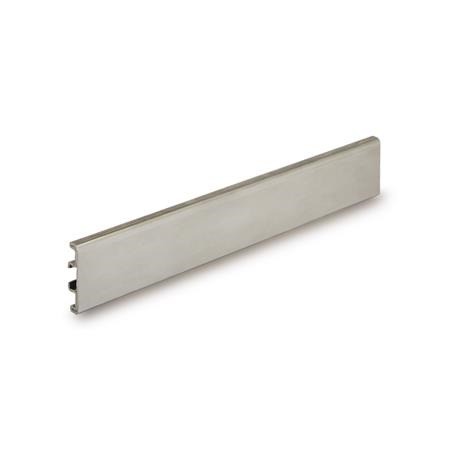 GN6473.1-Retaining-Profiles-for-Side-Guide-Segments-GN-6473-Stainless-Steel-Closed-G.jpg