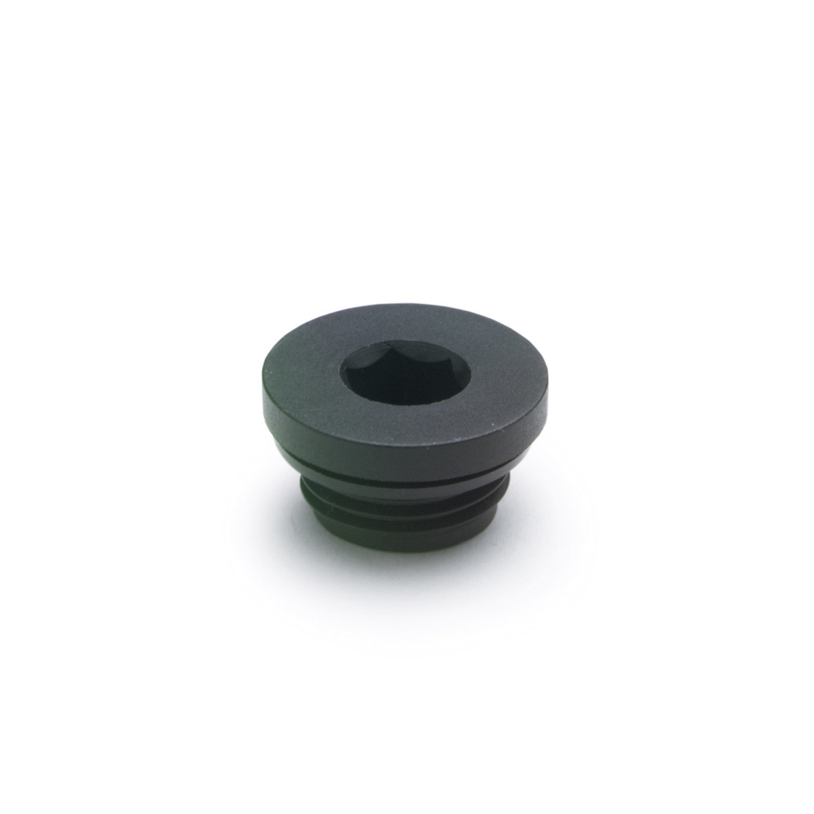 GN746-Threaded_Plug__Black_Plastic.png